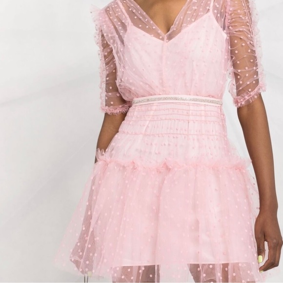 Self-Portrait Pink Mesh Dress - Picture 3 of 5